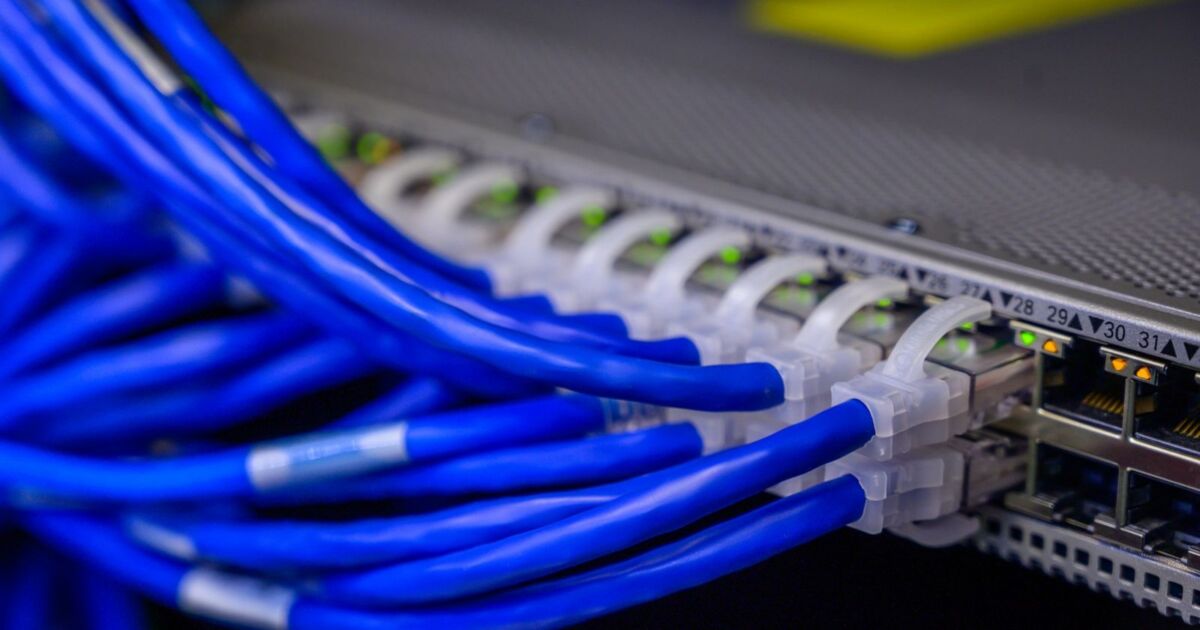 Blaue Netzwerkkabel an einem Switch, Symbolbild zur geplanten ND-Cloud